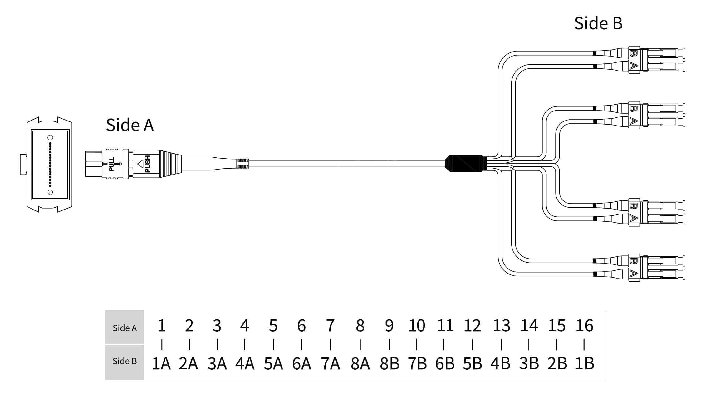 MPO to 8 LC