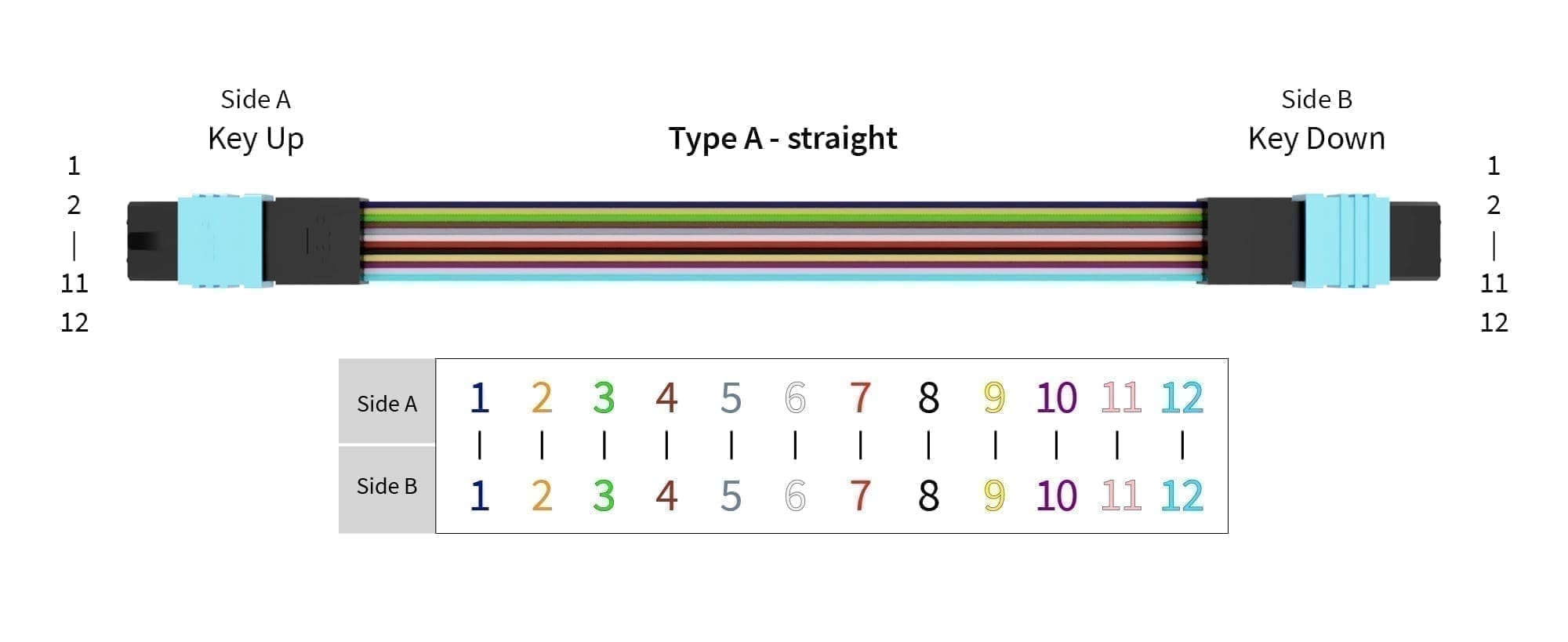 MPO-fiber-polarity-Type-A-Straigh