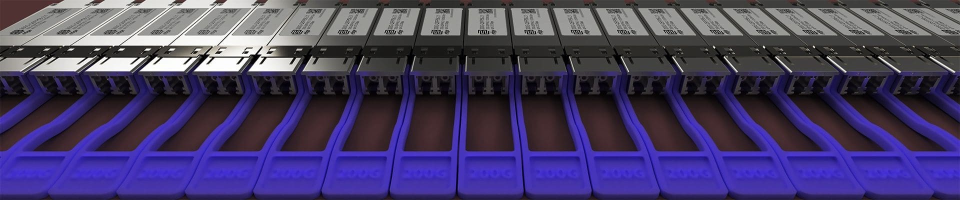 2x100G-QSFP28-DD Copy