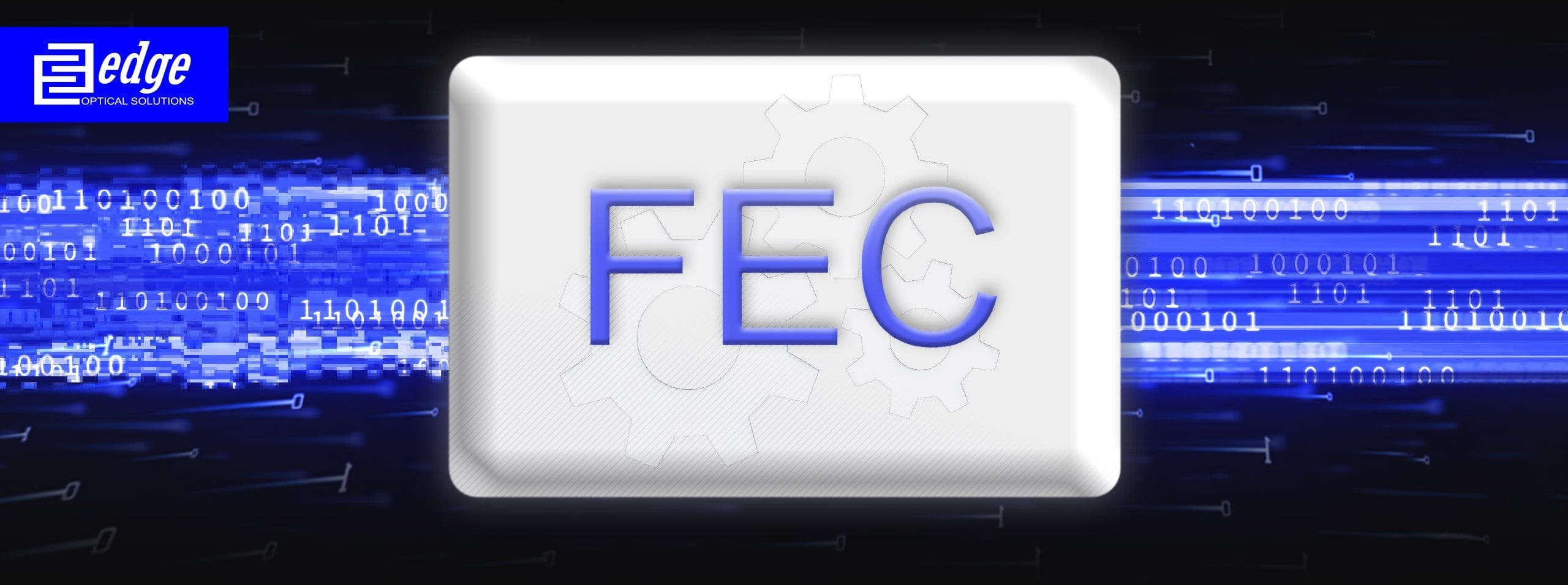 100G FEC